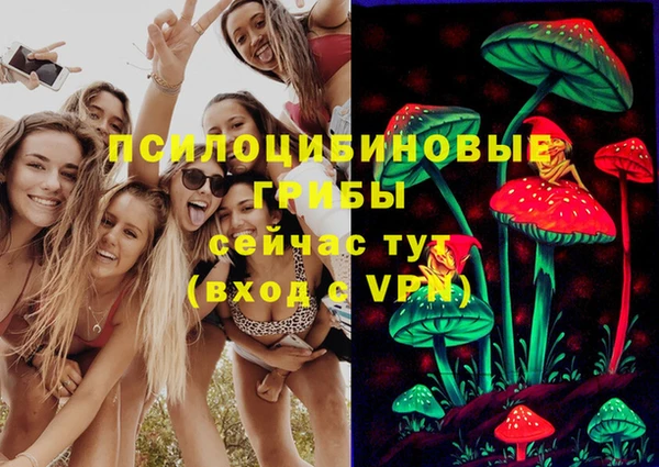 кокаин Белокуриха