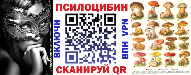 blacksprut ссылки что такое Малоярославец Псилоцибиновые грибы Psilocybine cubensis